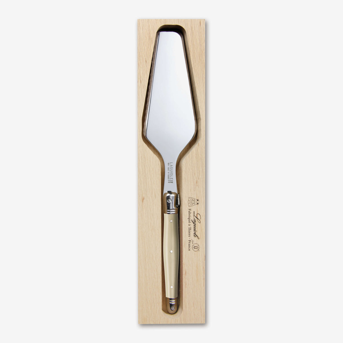 Cake Server in Tray