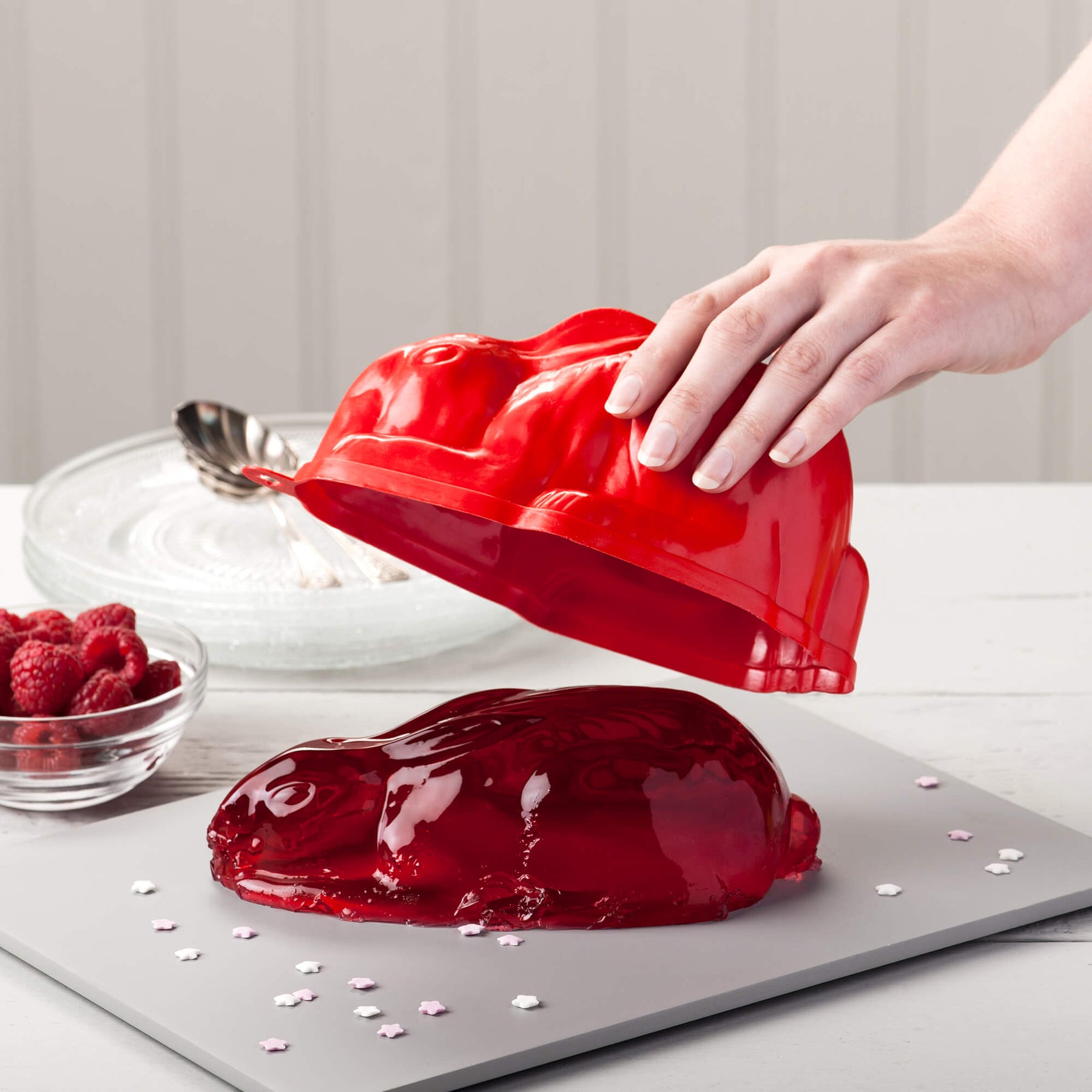Rabbit Jelly Mould