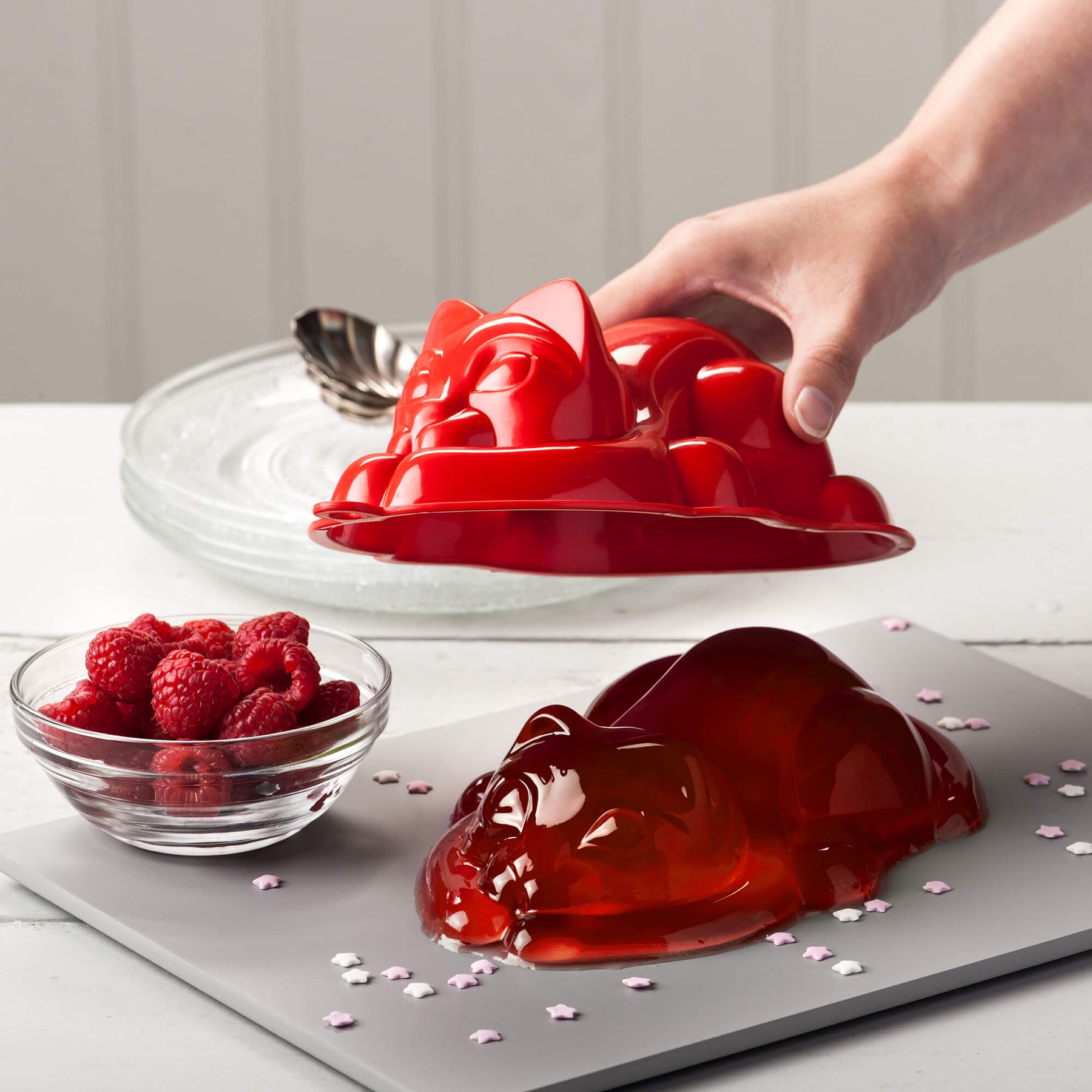 Cat Jelly Mould