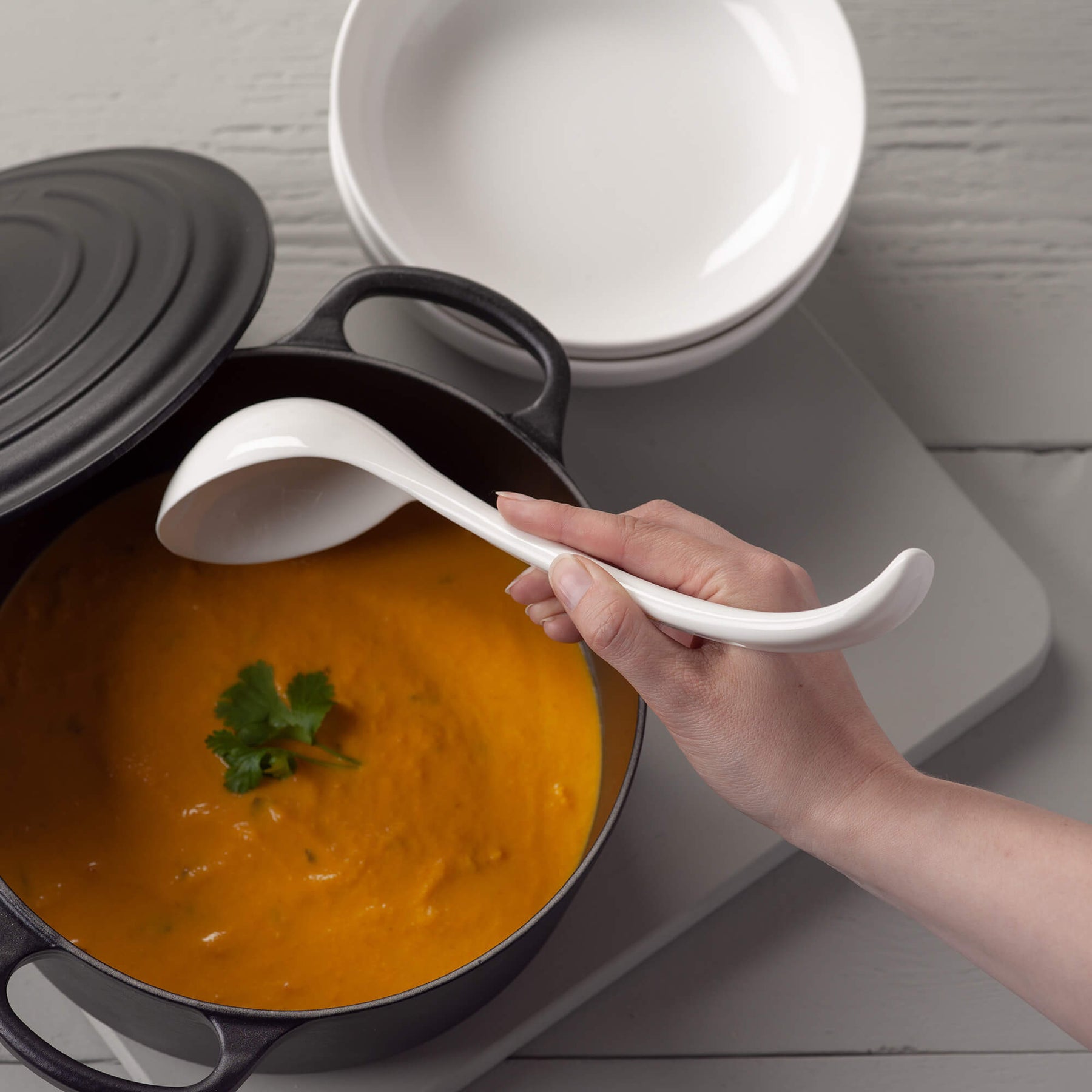Porcelain Ladle