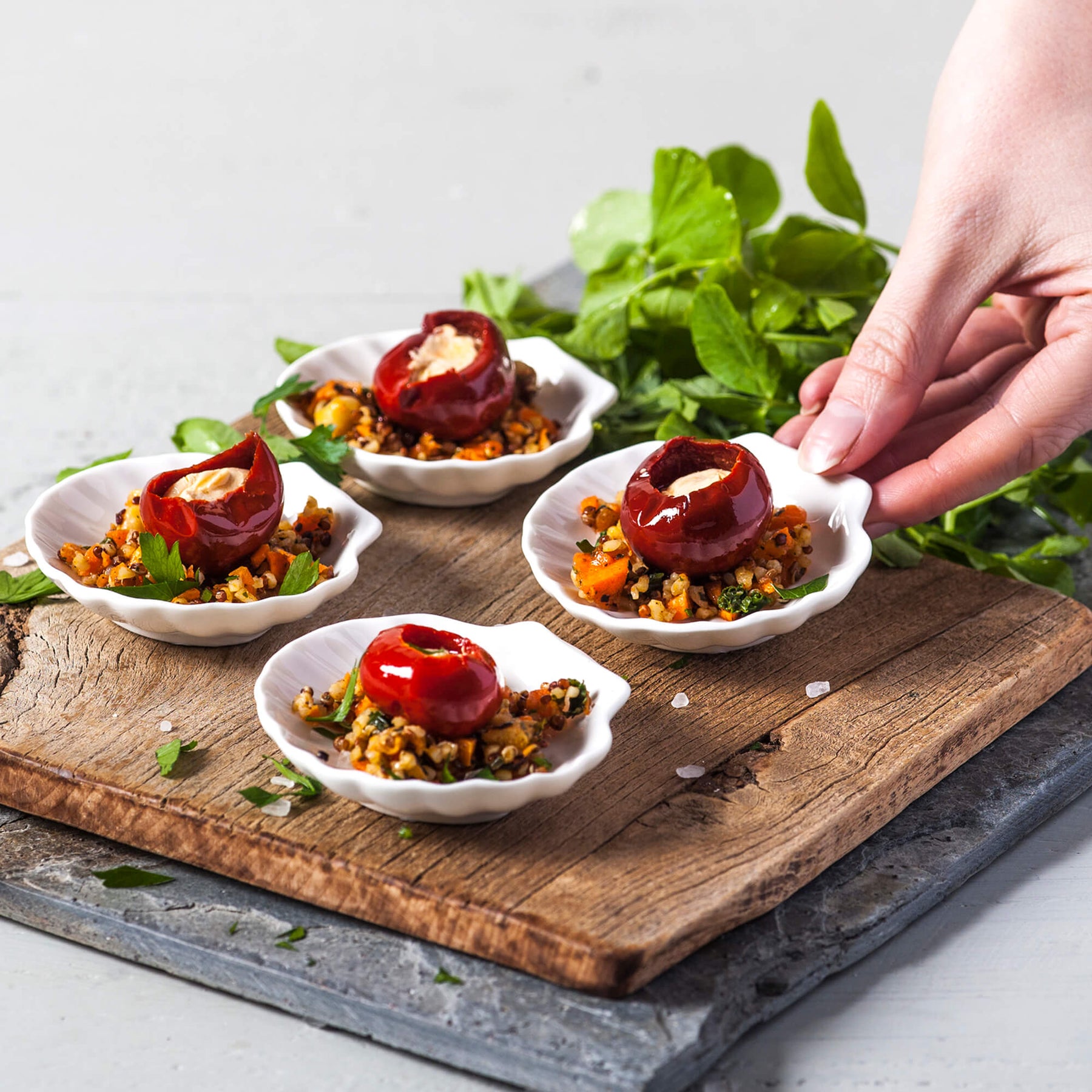 Porcelain Shell Dishes, Set of 4, Available in 3 Sizes
