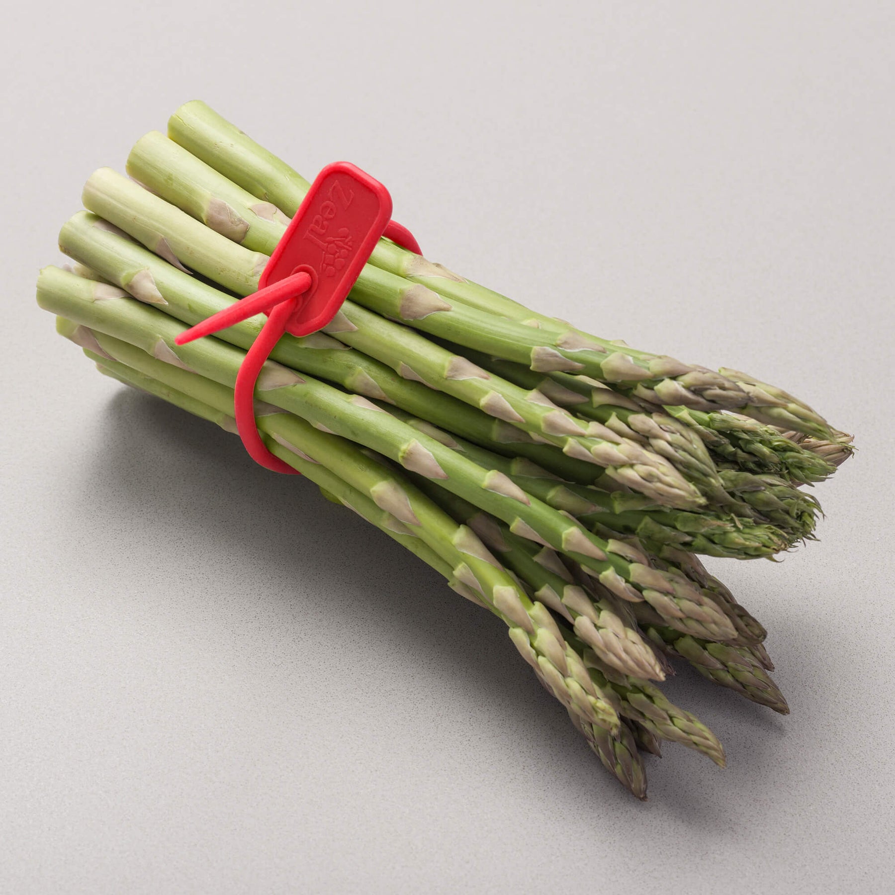 Silicone Food Ties, Set of 6, Large