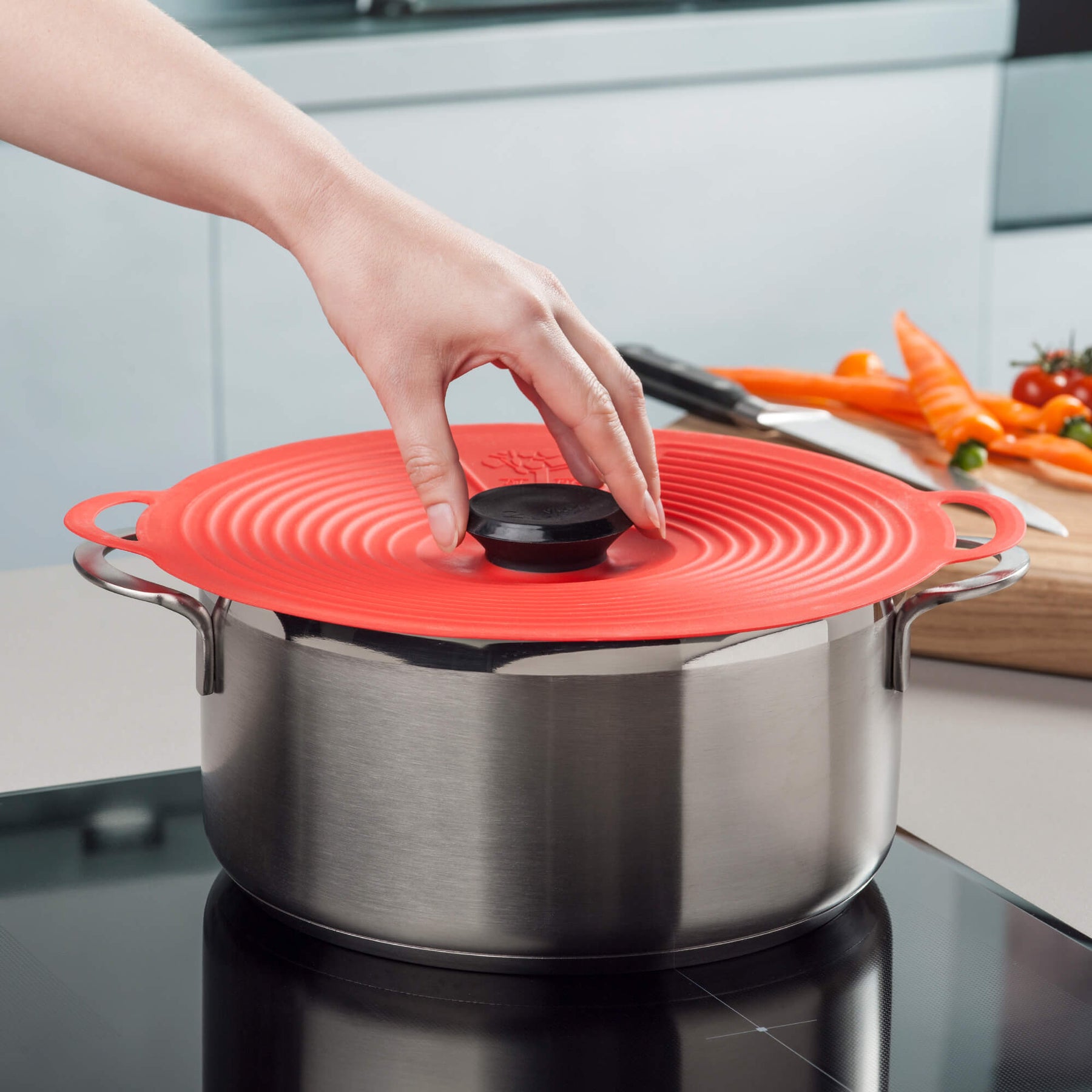 Classic Self Sealing Silicone Lid, 28cm