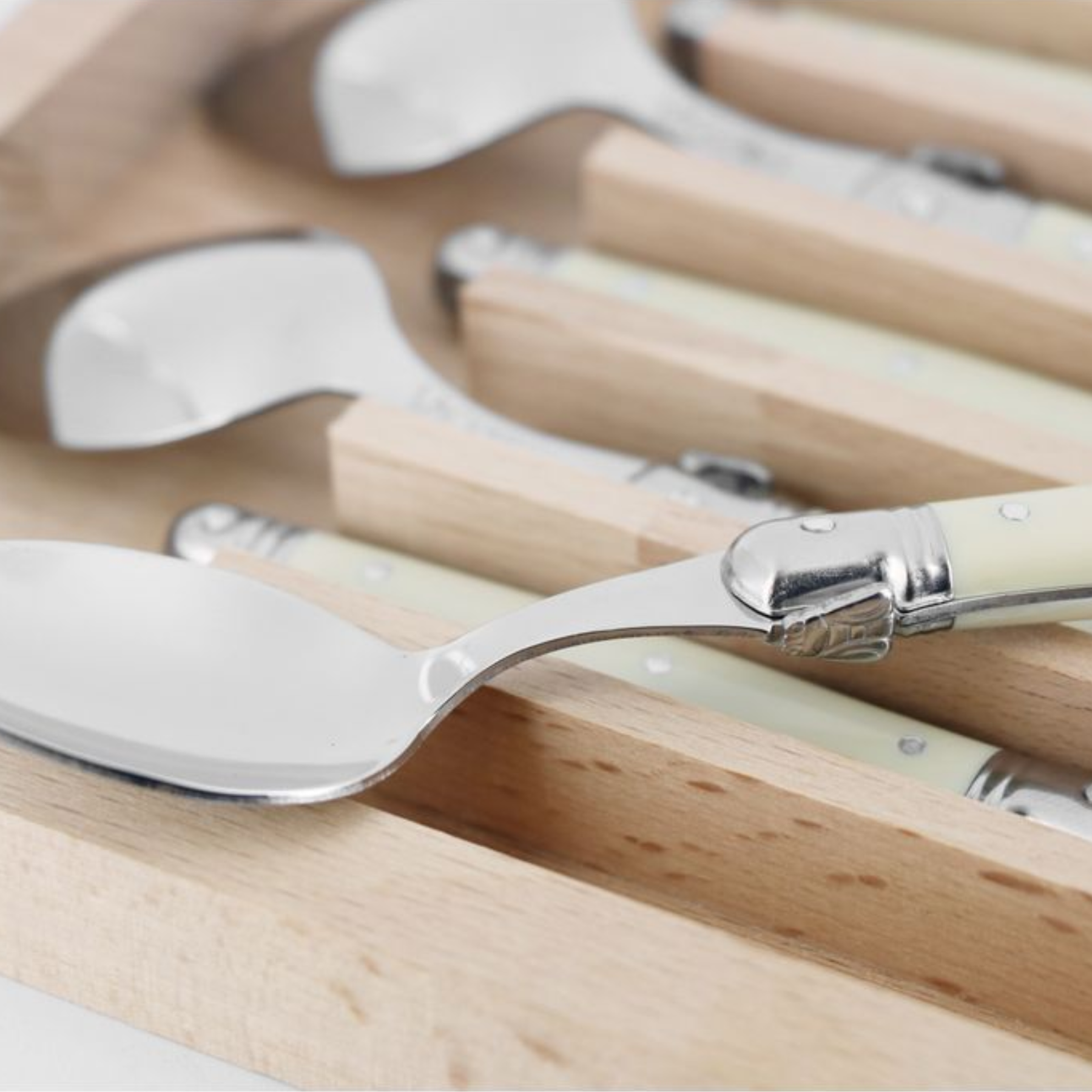 6 Piece Teaspoon Set in Wooden Tray
