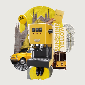 Classic E24 Evo Pro Manual Espresso Coffee Machine