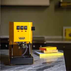 Classic E24 Evo Pro Manual Espresso Coffee Machine