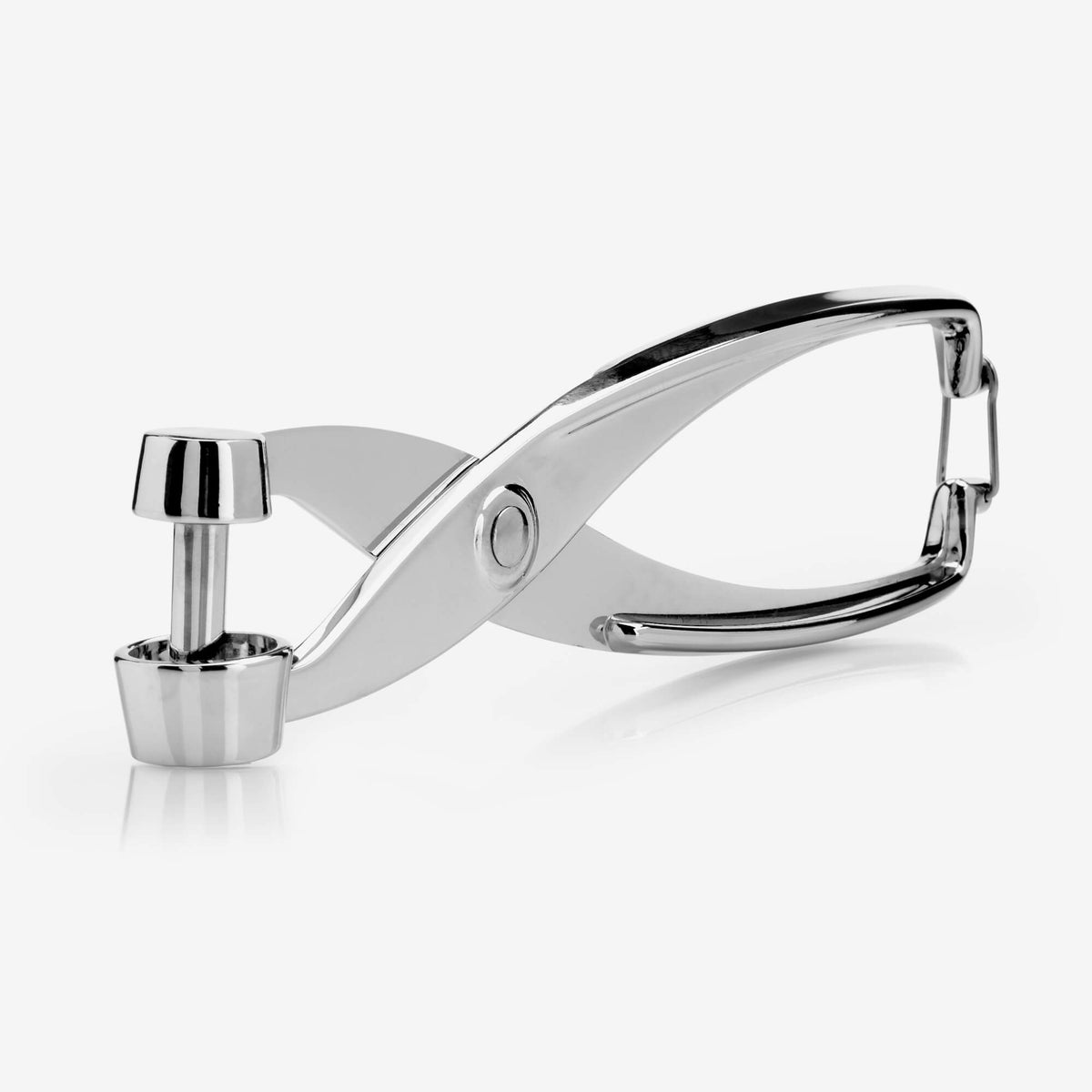 Stainless Steel Cherry/Olive Pitter