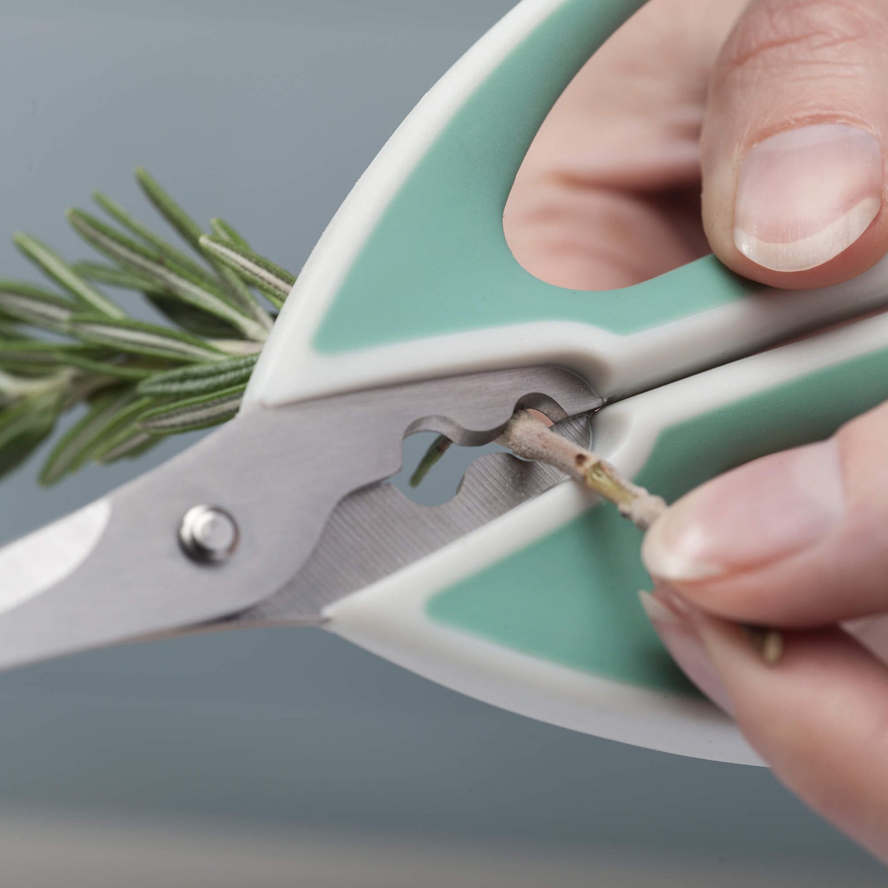 Snip It & Strip Herb Scissors